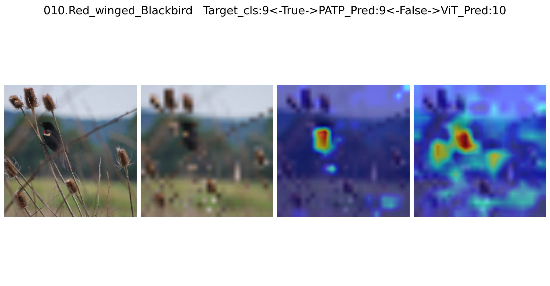 Collaborative Optimization of Learnable Probe Tokens and Attribute Text ...